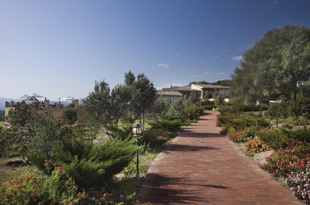 Parco Degli Ulivi - Sardegna Arzachena